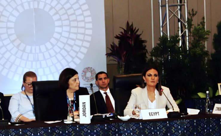 وزيرة الاستثمار خلال اجتماع المجموعة العربية بالبنك الدولي (1)                                                                                                                                          
