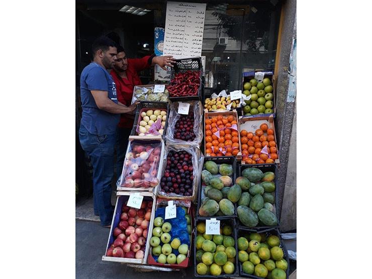 سيارات خضار بلدنا لبيع الخضر والفاكهة بأسعار مخفضة  (1)                                                                                                                                                 