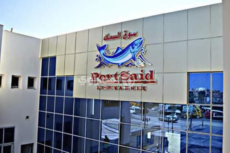 سوق الأسماك الجديد في بورسعيد (3)                                                                                                                                                                       