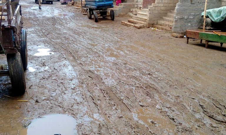 الأمطار تحول شوارع المنيا إلى برك وطين (4)                                                                                                                                                              