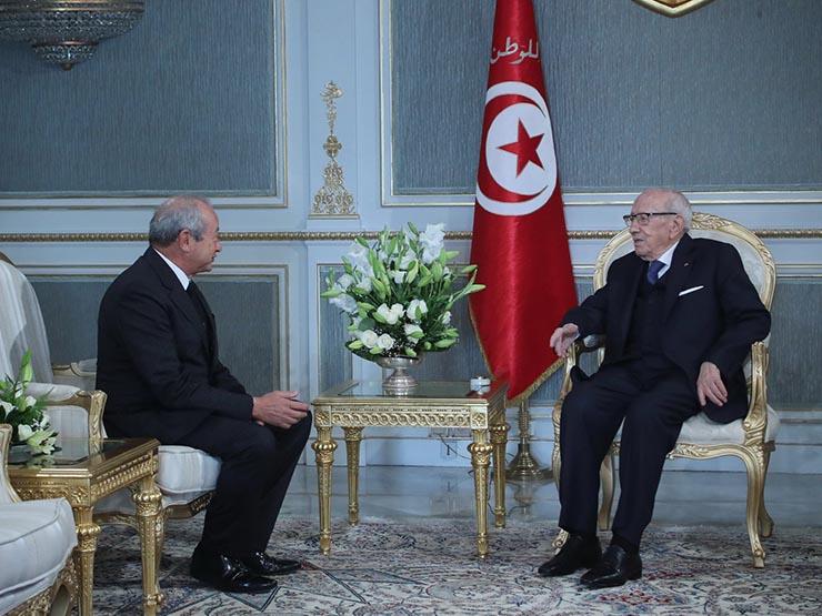 الرئيس التونسي يستقبل رجل الأعمال نجيب ساويرس (2)                                                                                                                                                       