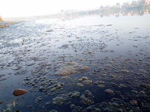 مادة رغوية مجهولة تكسو مياه النيل بالبحيرة (1)                                                                                                                                                          