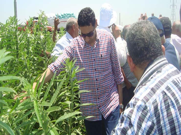وزير الزراعة يكلف لجنة بالكشف على المحاصيل الصيفية (1)                                                                                                                                                  