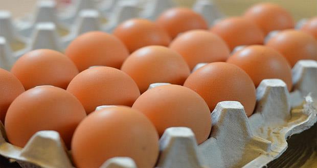 ما هي الطريقة الصحيحة لنخزين البيض وطهيه؟ (3)                                                                                                                                                           