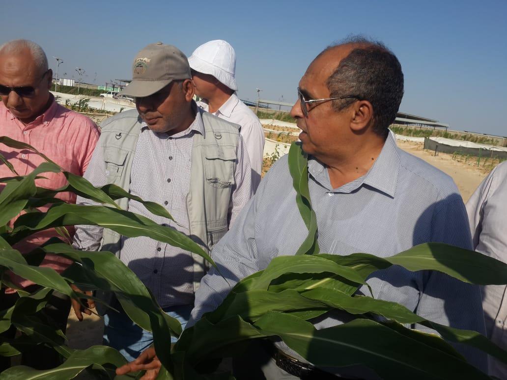 وزير الزراعة يتفقد محطة بحثية إرشادية بمشروع غرب المنيا (1)                                                                                                                                             