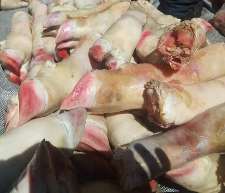 ضبط ربع طن أحشاء وأرجل أبقار أمامية غير صالحة للاستهلاك الأدمي في بورسعيد (1)