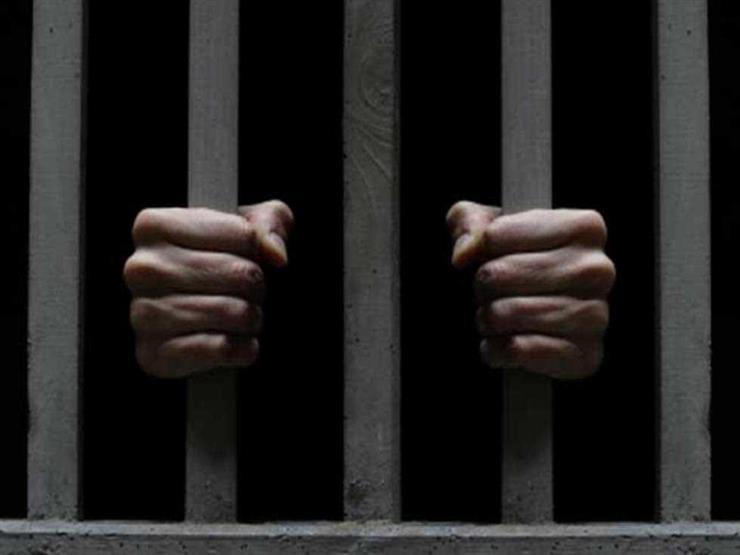  تأجيل إعادة محاكمة 4 متهمين بـ"خلية الزيتون" لـ29 أبريل