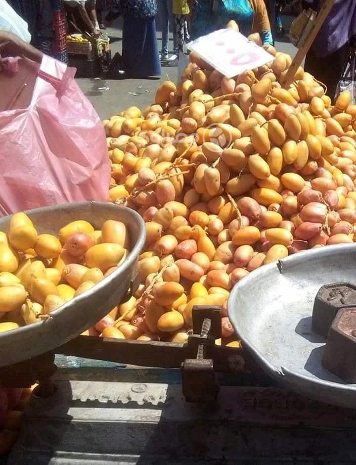 ركود في أسواق الفاكهة بالإسكندرية بعد غلاء الأسعار (1)                                                                                                                                                  