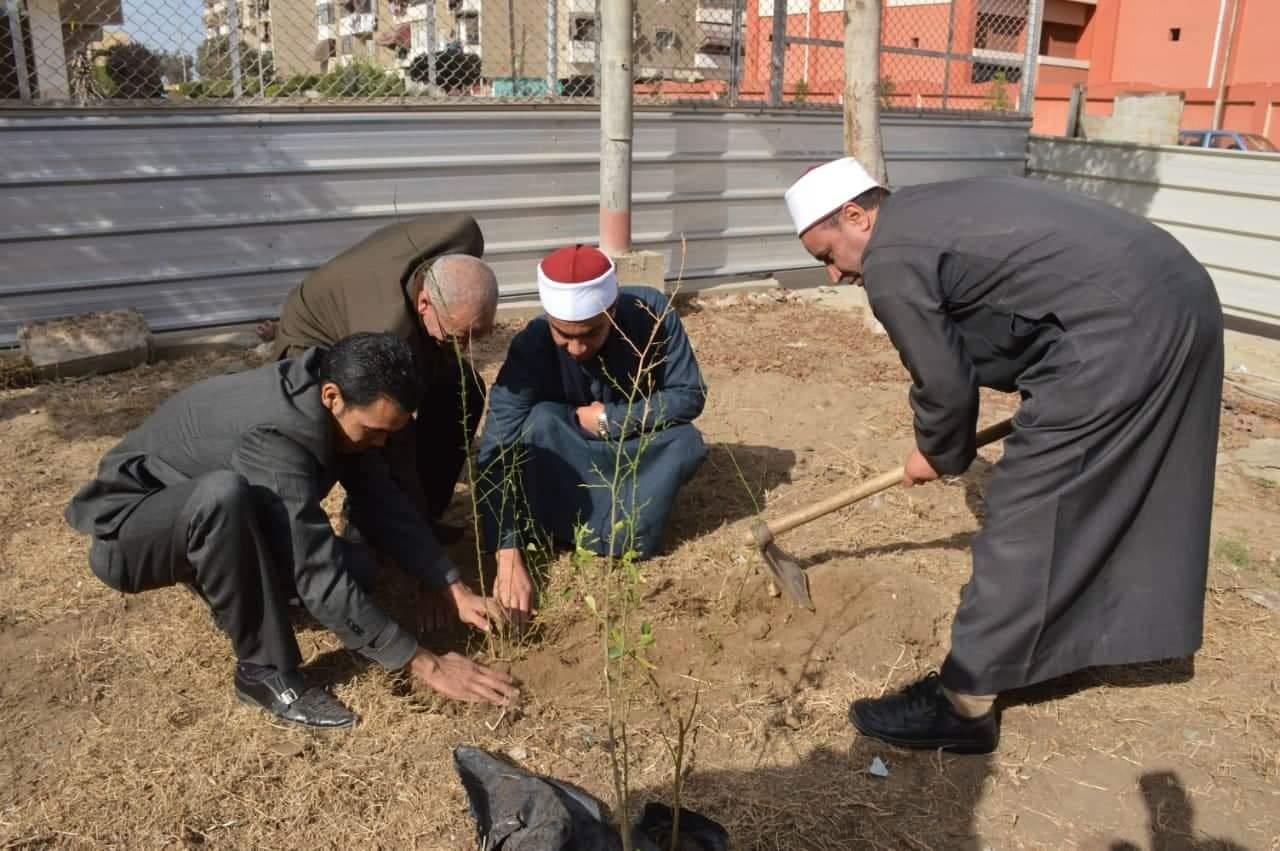 مبادرة لزرع ١٠٠٠ شجرة في بورسعيد٢_1