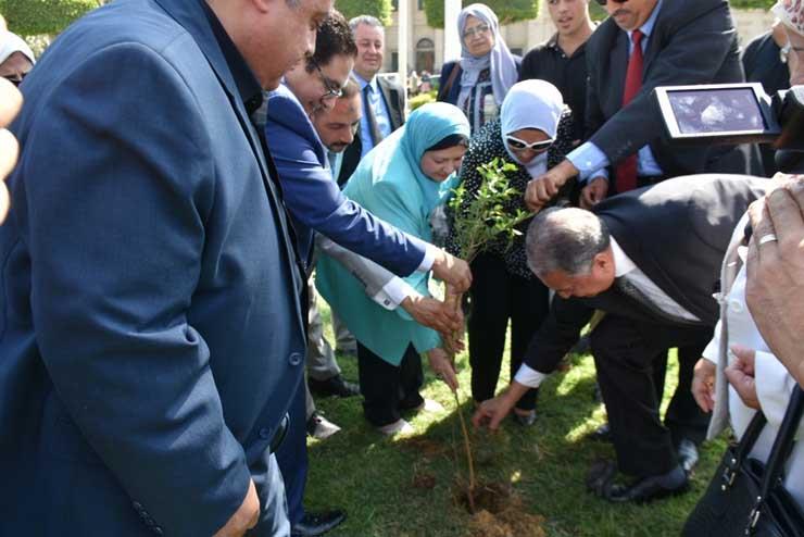 جامعة القاهرة تزرع 500 شجرة مثمرة لمكافحة الاحتباس الحراري