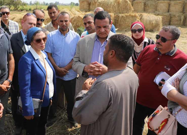 وزيرة البيئة تشيد بقصص نجاح متعهدي جمع قش الأرز بالبحيرة (1)