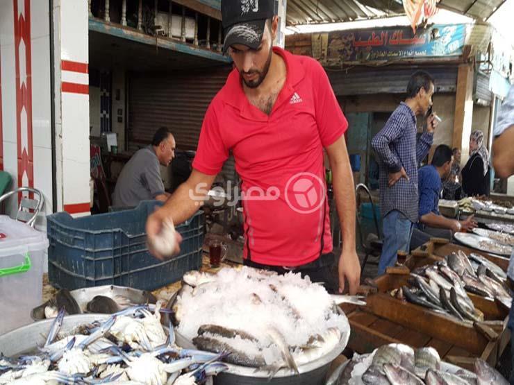 ارتفاع البلطي وتراجع البوري.. أسعار السمك اليوم في سوق العبور ارتفاع البلطي وتراجع البوري.. أسعار السمك اليوم في سوق العبور
