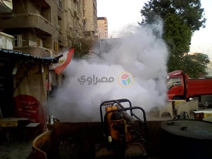 مكافحة البعوض بشوارع الإسكندرية 