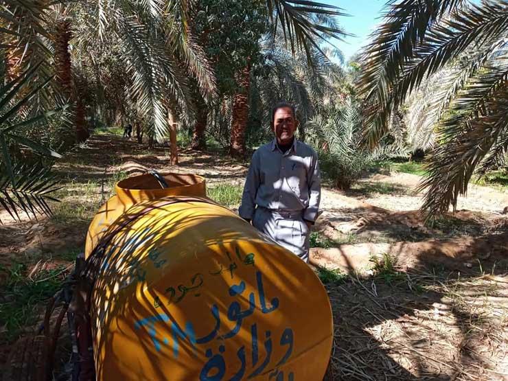 أجهزة حقن لمواجهة دودة النخيل في الوادي الجديد