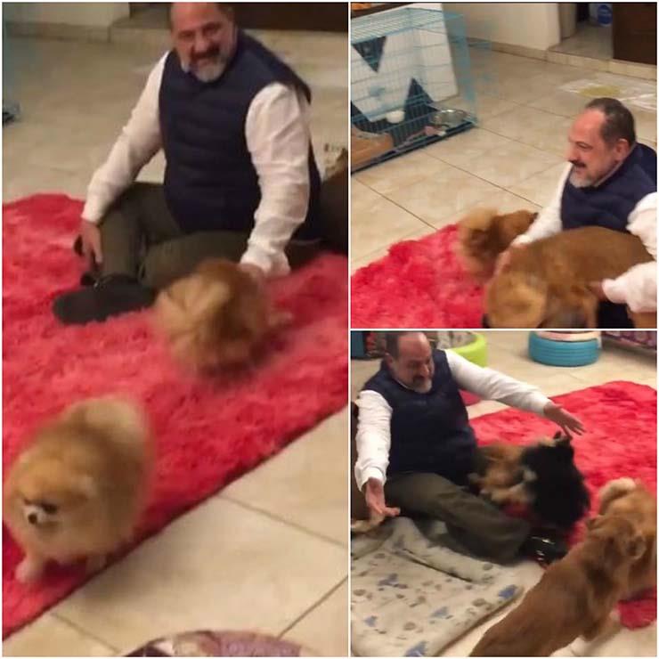 خالد الصاوي مع الكلاب