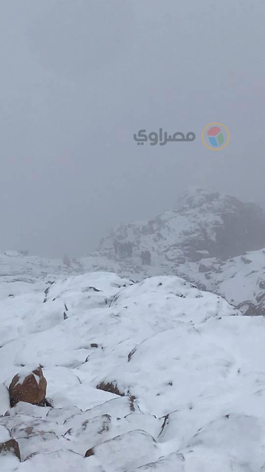 مقتل طفلين جراء عاصفة ثلجية عنيفة شرقي الولايات المتحدة مقتل طفلين جراء عاصفة ثلجية عنيفة شرقي الولايات المتحدة