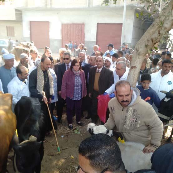 نائب وزير الزراعة ووزير الثروة الحيوانية بزامبيا يتفقدان المعاهد البيطرية (2)