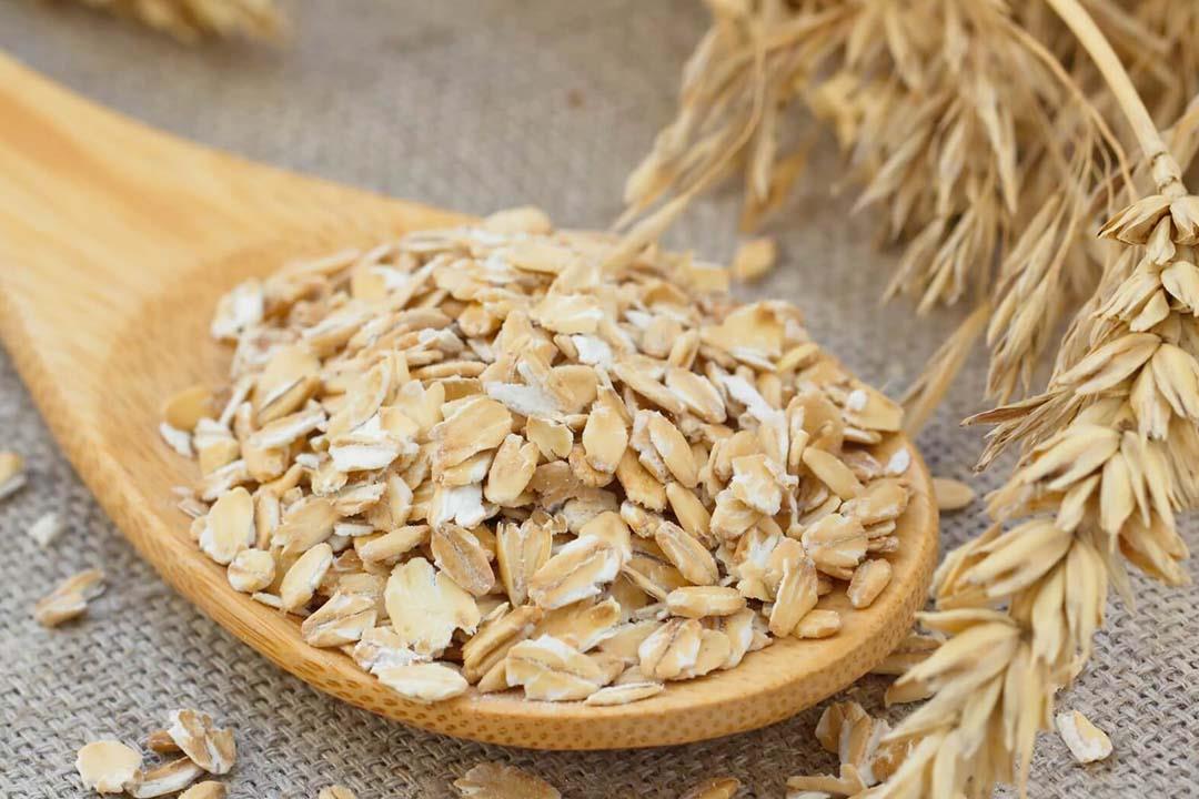 الشوفان والحماية من السكتة دماغية.. دراسة تكشف معلومات مهمة الشوفان والحماية من السكتة دماغية.. دراسة تكشف معلومات مهمة