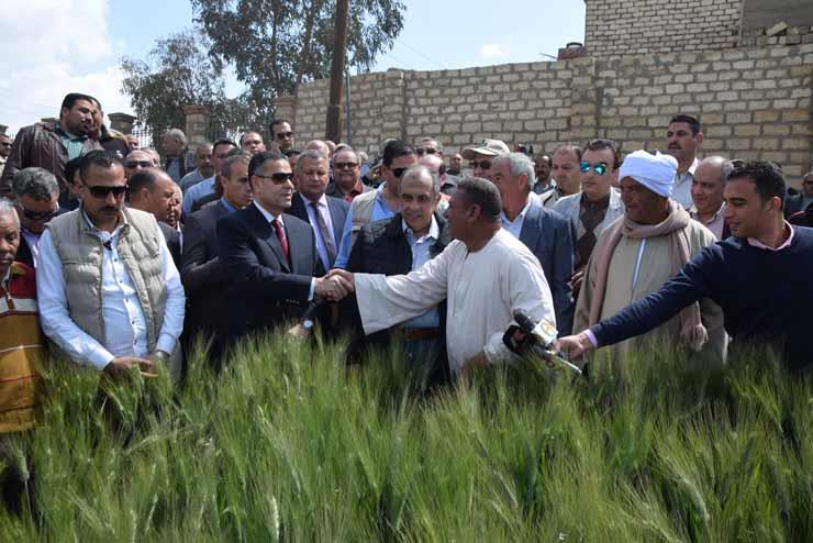 وزير الزراعة يتفقد حقول القمح الإرشادية ببني سويف (2)