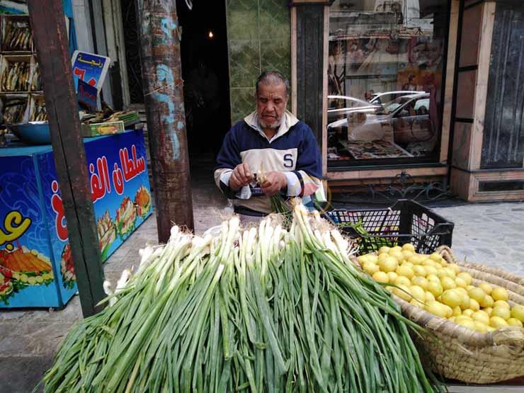 عم أحمد - يبيع البصل والليمون بالإسكندرية في انتظار عودة معاشه المنقطع (1)
