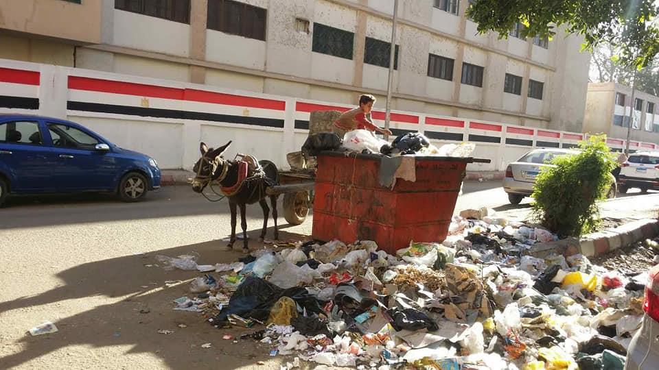 انتشار القمامة بشوارع أسوان