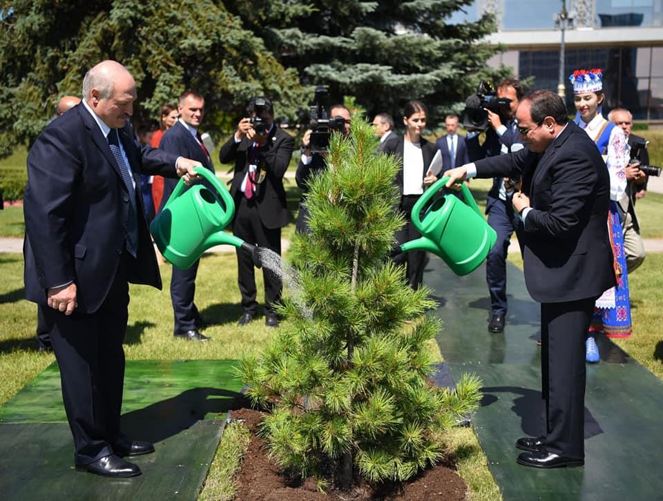 السيسي يشارك رئيس بيلاروسيا في زرع شجرة الصداقة (1)