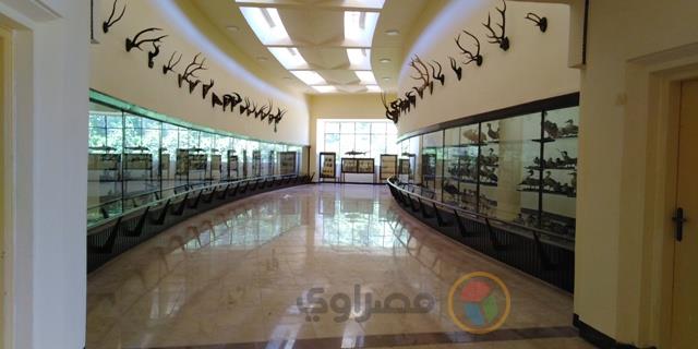 متحف التاريخ الطبيعي بحديقة الحيوان بالإسكندرية (2)