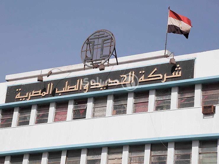 خسائر شركة الحديد والصلب تتخطى مليار جنيه خلال العام الماضي خسائر شركة الحديد والصلب تتخطى مليار جنيه خلال العام الماضي