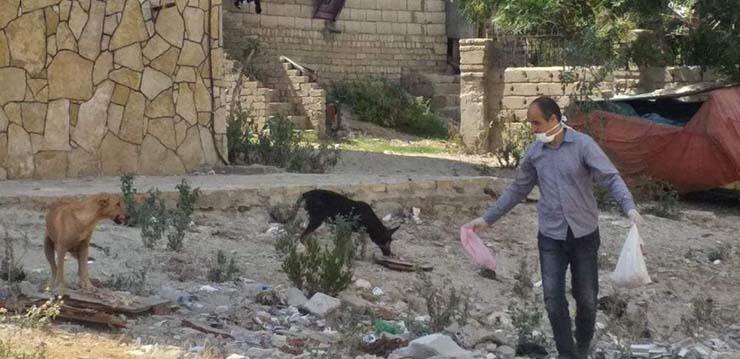 حملات للقضاء على الكلاب الضالة في شمال سيناء (1)