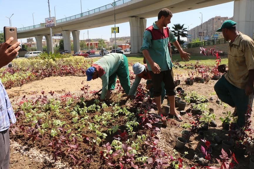 جولة محافظ القاهرة (2)