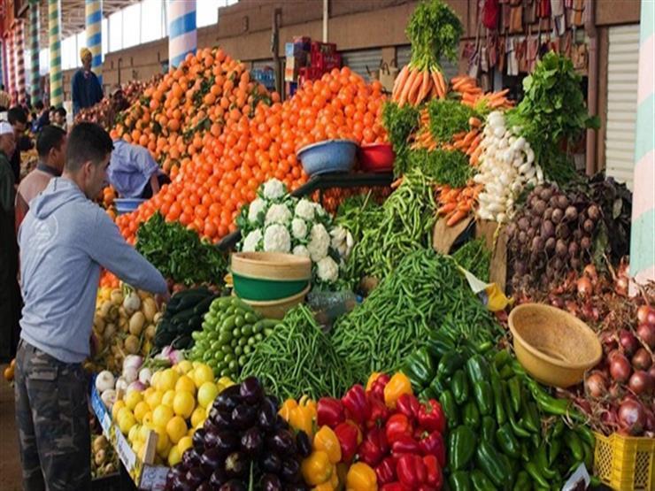 ارتفاع البصل.. أسعار الخضروات والفاكهة بسوق العبور اليوم الخميس ارتفاع البصل.. أسعار الخضروات والفاكهة بسوق العبور اليوم الخميس