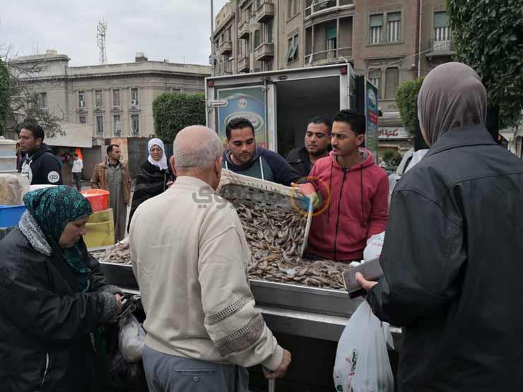 منافذ بيع أسماك غليون في الإسكندرية