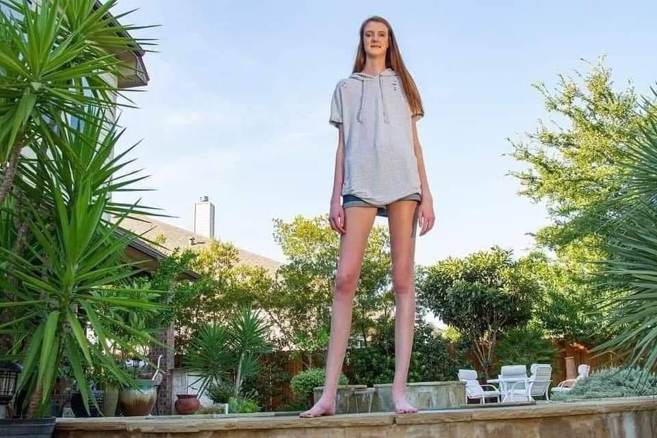 مايسي كورين صاحبة أطول ساقين بالعالم