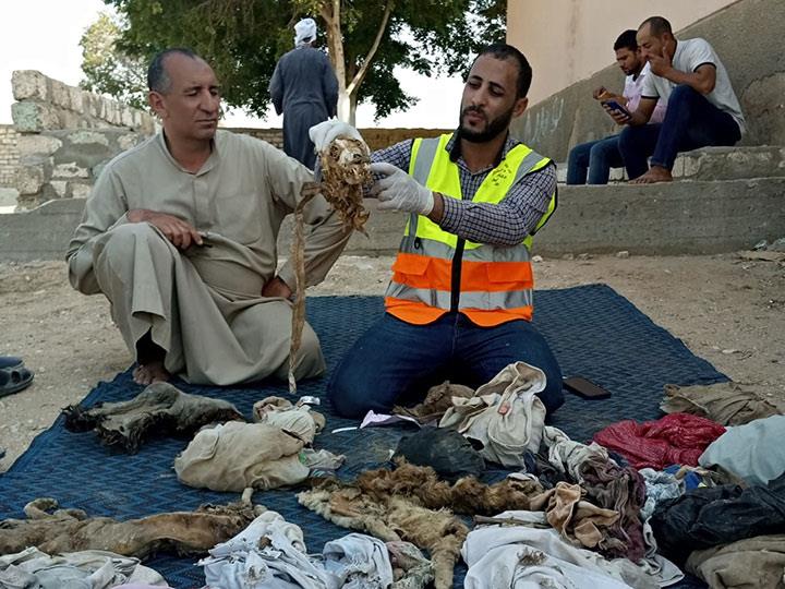 حملة تنظيف المقابر بمحافظة سوهاج