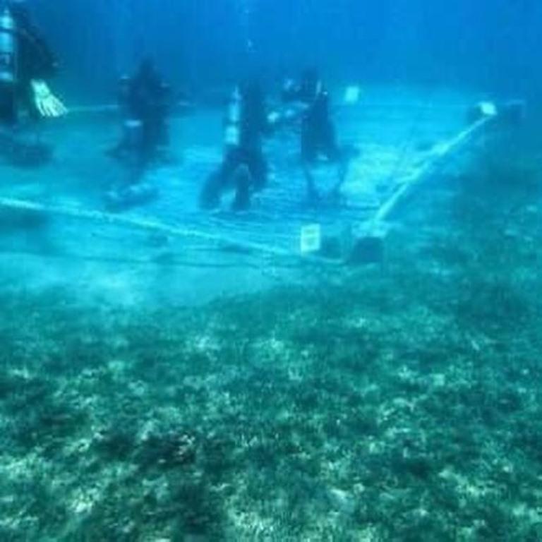 الغطاس صدام الكيلاني تحت المياه  (1)