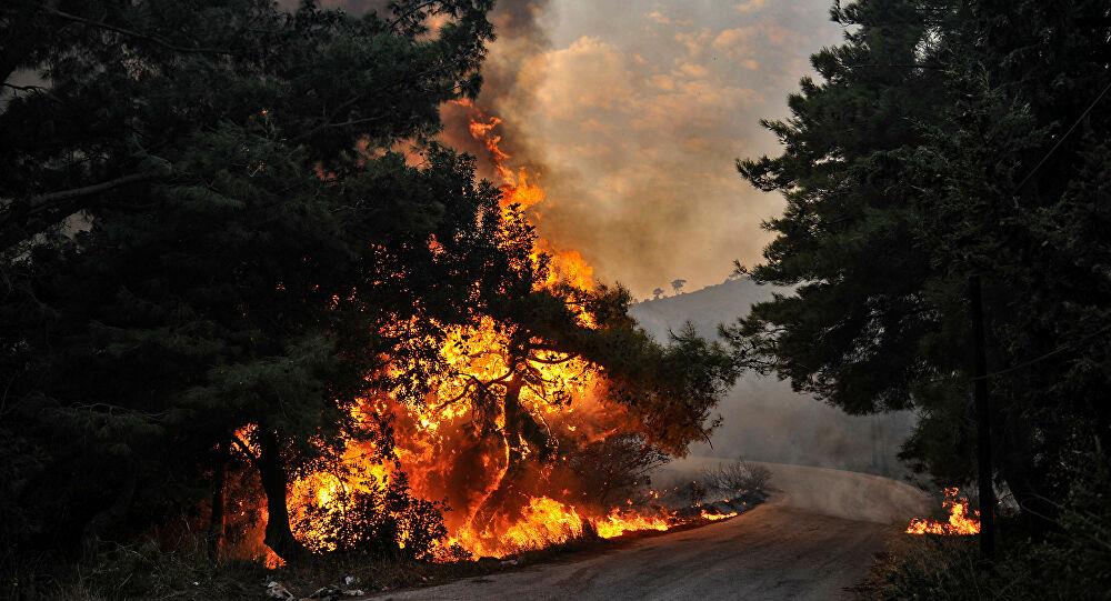 الجزائر: حالتا وفاة وخسائر مادية إثر اندلاع حرائق في مناطق متفرقة الجزائر: حالتا وفاة وخسائر مادية إثر اندلاع حرائق في مناطق متفرقة