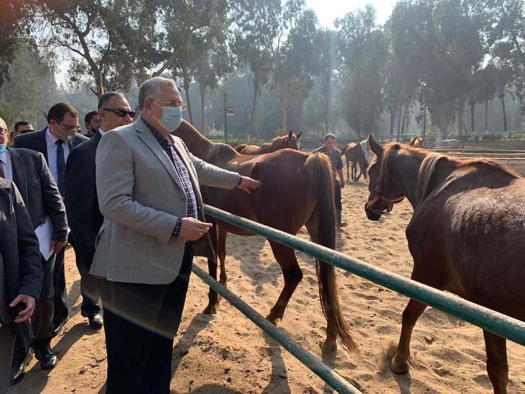 وزير الزراعة يتفقد محطة الزهراء للخيول العربية الأصيلة