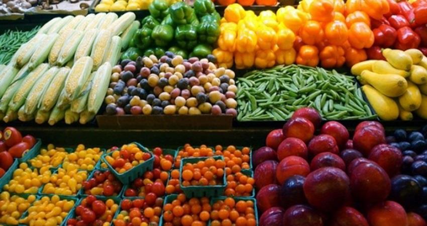 البنك الدولي: 60% من صادرات مصر الزراعية غير مستغلة.. وهذه أبرز الأسباب البنك الدولي: 60% من صادرات مصر الزراعية غير مستغلة.. وهذه أبرز الأسباب