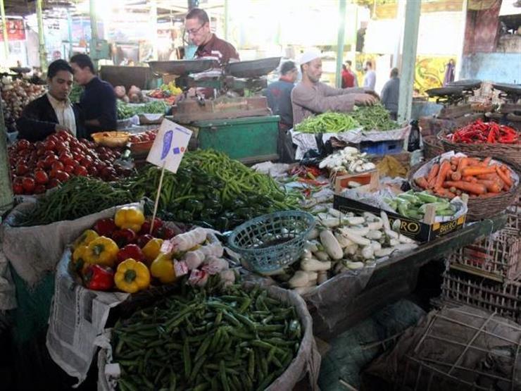 معدل التضخم السنوي يتراجع إلى 7.3% في أكتوبر لأول مرة من 5 أشهر معدل التضخم السنوي يتراجع إلى 7.3% في أكتوبر لأول مرة من 5 أشهر