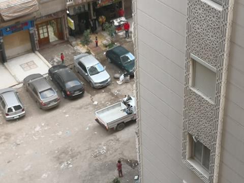 السيارات تجوب شوارع الإسكندرية
