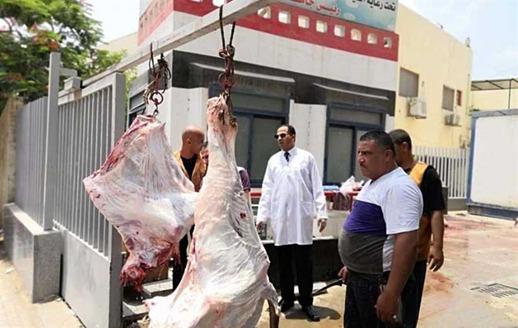 جامعة دمنهور تدشن مبادرة لبيع اللحوم بأسعار مخفضة