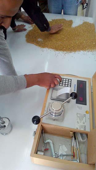 أختبار عينات القمح لمعرفة نسبة الرطوبة ودرجة النظافة 