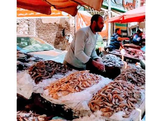 إقبال على شراء الأسماك في ثاني أيام رمضان