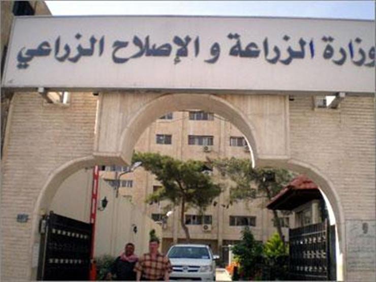 "الزراعة" تصدر نشرة بالتوصيات الفنية لمزارعي محاصيل الأعلاف الشتوية والصيفية "الزراعة" تصدر نشرة بالتوصيات الفنية لمزارعي محاصيل الأعلاف الشتوية والصيفية