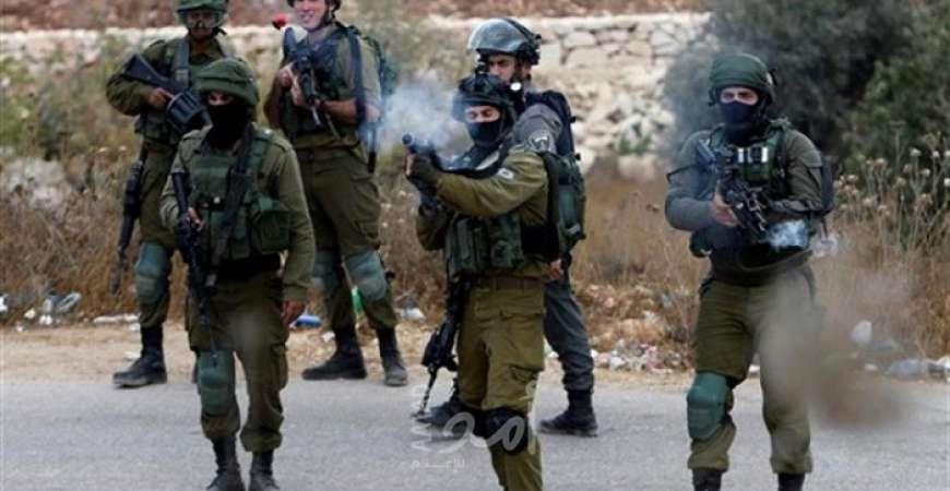القوات الإسرائيلية تعتقل 20 فلسطينيا من الضفة الغربية القوات الإسرائيلية تعتقل 20 فلسطينيا من الضفة الغربية