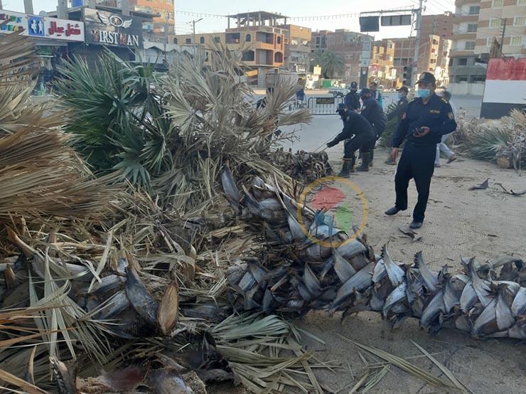 سقوط أشجار وأعمدة كهرباء بواحة الخارجة في الوادي الجديد 