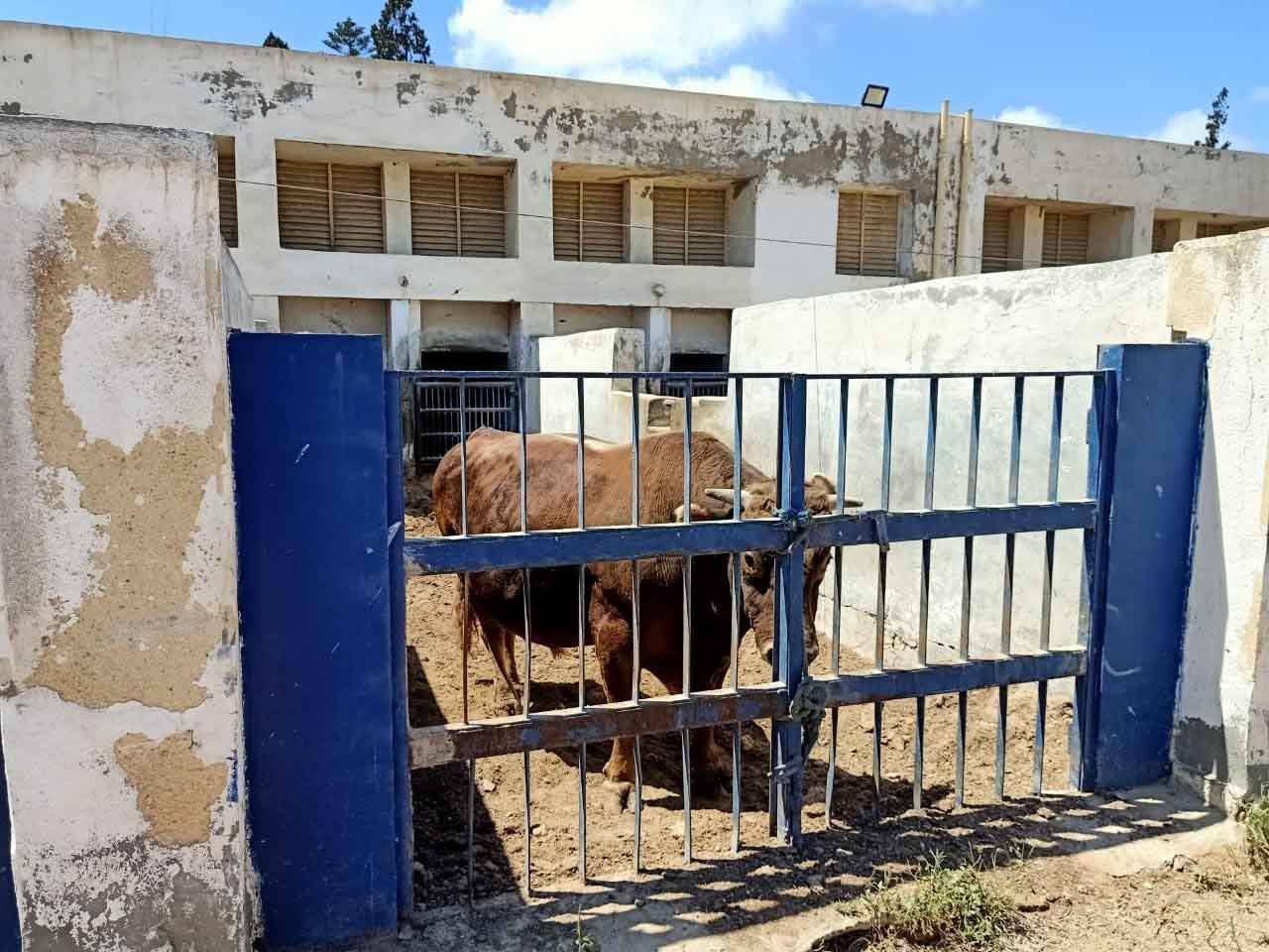 زيارة وزير الزراعة لمركز التلقيح الصناعي