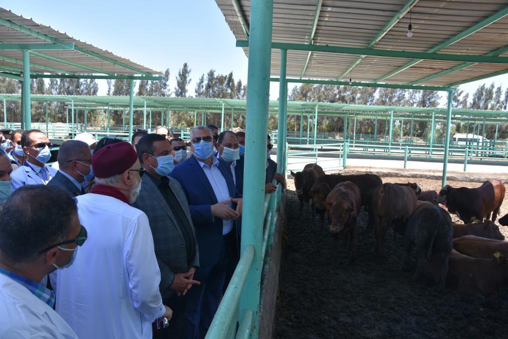 وزير الزراعة يفتتح مزرعة صفط خالد للإنتاج الحيواني
