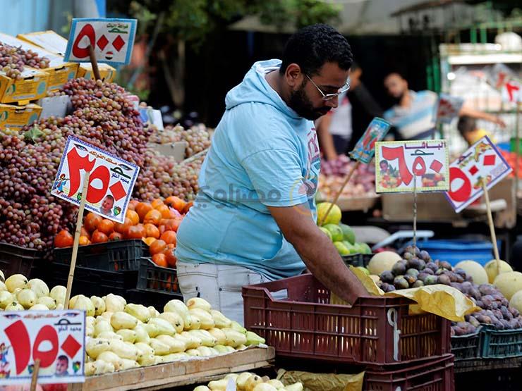 21 صنف خضراوات تغزو الأسواق.. و"الزراعة" تنشر لجانًا فنية بالحقول لزيادة المعروض 21 صنف خضراوات تغزو الأسواق.. و"الزراعة" تنشر لجانًا فنية بالحقول لزيادة المعروض
