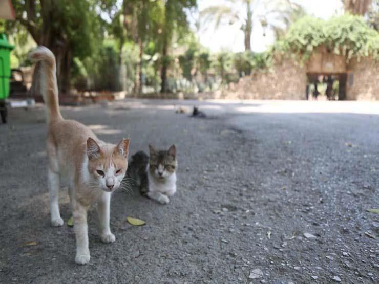 حديقة الحيوان